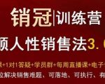 “爆款！销冠训练营3.0之顺人性销售法，全方位解决销售难题、可落地、可执行、有结果