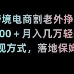 靠跨境电商割老外挣美刀，日入1000＋月入几万轻轻松松！多种变现方式，落地保姆级教程【揭秘】