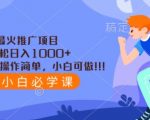 2024年最火推广项目，轻轻松松日入1000+，操作简单，小白可做