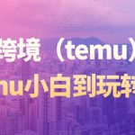 拼多多跨境（temu）课程，从Temu小白到玩转Temu