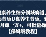 健康养生细分领域赛道，卖音乐U盘养生音乐，轻松月赚一万+，可批量操作【保姆级教程】