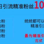 单号单日引流精准粉丝1000+，最为精准引流的方式