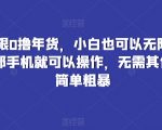 京东无限0撸年货，小白也可以无限放大操作，一部手机就可以操作，无需其他操作，简单粗暴