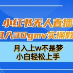 小红书无人直播月入30gmv实操教学，月入上w不是梦，小白轻松上手【揭秘】”