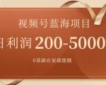 外边收费699视频号项目，最新玩法，简单好操作，一人可做，日四位数