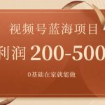 外边收费699视频号项目，最新玩法，简单好操作，一人可做，日四位数