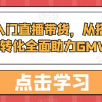 从0起步入门直播带货，​从搭团队到引流到转化全面助力GMV起步