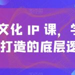 短视频文化IP课，学习文化IP打造的底层逻辑