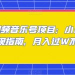 中视频音乐号项目：小白副业变现指南，月入过W不是梦【揭秘】