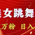 靠Ai美女跳舞视频，5天破万粉，日入4位数，多种变现方式【揭秘】”