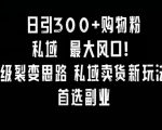 日引300+购物粉，超级裂变思路，私域卖货新玩法，小红书首选副业【揭秘】