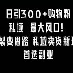 日引300+购物粉，超级裂变思路，私域卖货新玩法，小红书首选副业【揭秘】