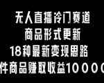 无人直播冷门赛道，商品形式更新，18种变现思路，一件商品赚取收益10000+【揭秘】”