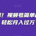 小白逆袭！视频号简单创业让你轻松月入过万