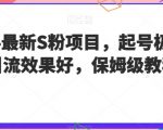 2024最新S粉项目，起号极快，引流效果好，保姆级教程