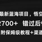 2024年最新蓝海项目，悟空网盘拉新，日入2700+错过后悔一年【附保姆级教程+渠道】【揭秘】”