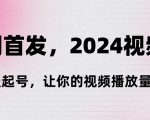 全网首发，2024视频号‘3天起号’，让你的视频播放量剧增