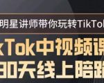 TikTok中视频课程30天线上陪跑，明星讲师带你玩转TikTok