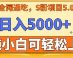 男粉项目5.0，最新野路子，纯小白可操作，有手就行，无脑照抄，纯保姆教学【揭秘】”