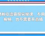 情感粉引流变现实操课，不用拍摄视频，也不需要开直播