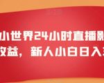 靠QQ小世界24小时直播影视剧赚取收益，新人小白日入300+