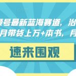 抖音&视频号最新蓝海赛道，治愈书籍带货，一个月带货上万+本书，月入2万＋【揭秘】