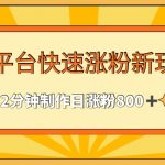 多平台快速涨粉最新玩法，2分钟制作，日涨粉800+【揭秘】