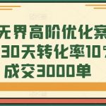 8节无界高阶优化案例课，30天转化率10%+成交3000单