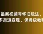 最新视频号怀旧玩法，多渠道变现，保姆级教程