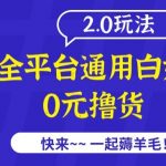 外面收费2980的全平台通用白嫖撸货项目2.0玩法【仅揭秘】