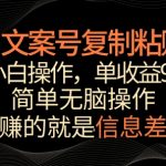 文案号掘金，简单复制粘贴，小白操作，单作品收益900+【揭秘】