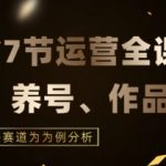 7节小红书运营实战全教程，结合最新情感赛道，打通小红书运营全流程【揭秘】