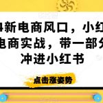 2024新电商风口，小红书无货源电商实战，带一部分人先冲进小红书