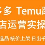 2024Temu最新玩法，Temu跨境开店运营实操课，开店注册/选品/核价上架/日出千单实战课