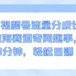 2024视频号流量分成计划，冷门监海赛道奇闻趣事，每天只需30分钟，轻松目赚 1000+【揭秘】