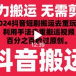 2024最新抖音搬运技术，抖音短剧视频去重，手法搬运，利用工具去重，达到秒过原创的效果【揭秘】