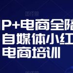 个人IP+电商全陪跑营，自媒体小红书电商培训