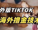 抖音海外版tiktok撸金技术，这个风口行业，赚钱真的不难【揭秘】