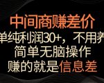 中间商赚差价，一单纯利润30+，简单无脑操作，赚的就是信息差，轻轻松松日入1000+【揭秘】