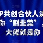 2024IP共创合伙人课程，手把手教你“割韭菜”，下一个大佬就是你