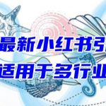 2024最新小红书引流，适用于任何行业，小白也可以轻松的打粉【揭秘】