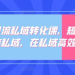 短视频引流私域转化课，短视频精准引流私域，在私域高效转化