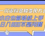 一份资料多种变现方式，小白也能轻松上手，日入800不是问题【揭秘】