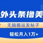 海外头条撸美金，无脑搬运发帖子，月入1万+，小白轻松掌握【揭秘】