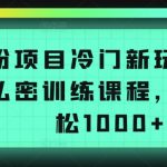 男粉项目冷门新玩法，售卖私密训练课程，一天轻松1000+【揭秘】