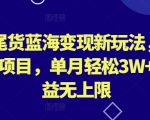 外贸尾货蓝海变现新玩法，冷门暴利项目，单月轻松3W+，收益无上限【揭秘】