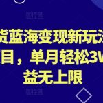 外贸尾货蓝海变现新玩法，冷门暴利项目，单月轻松3W+，收益无上限【揭秘】