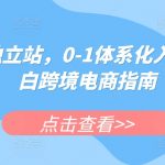 掘金独立站，0-1体系化入门，小白跨境电商指南