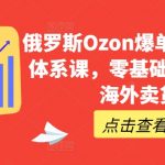 俄罗斯Ozon爆单实操全阶体系课，零基础轻松开启海外卖货