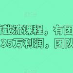 2024最新截流课程，有团队做截流一个月35万利润，团队4个人